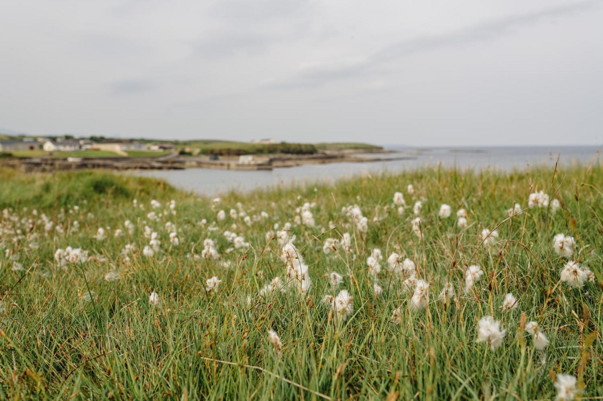 Creevy Cottages Rossnowlagh Ngoại thất bức ảnh