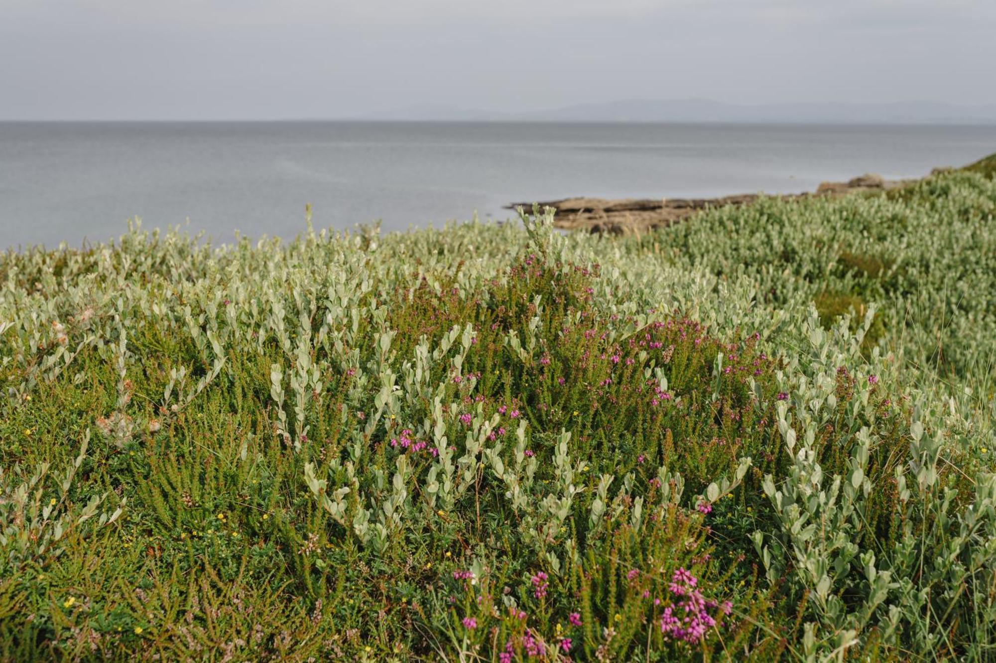Creevy Cottages Rossnowlagh Ngoại thất bức ảnh