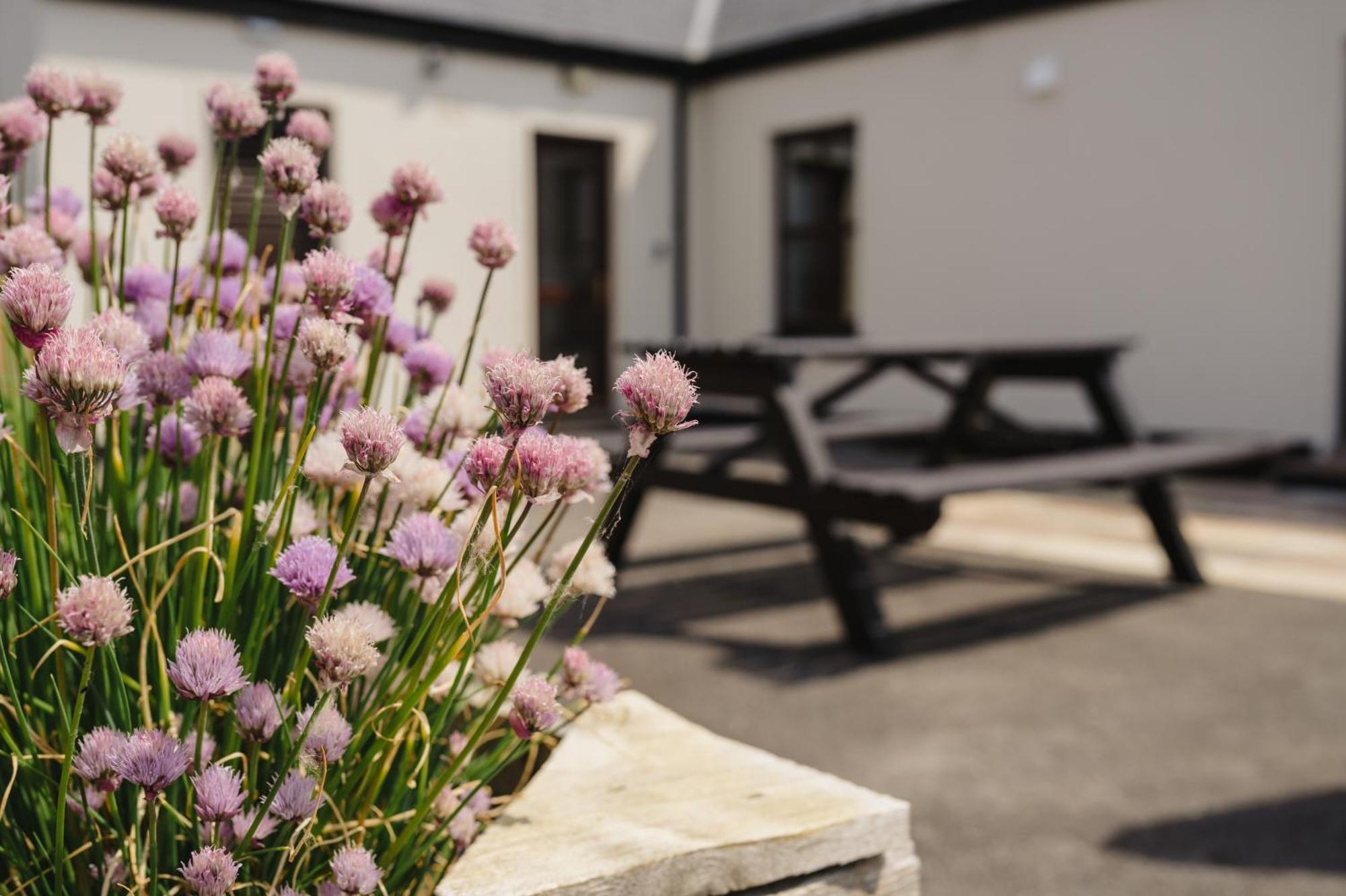 Creevy Cottages Rossnowlagh Ngoại thất bức ảnh